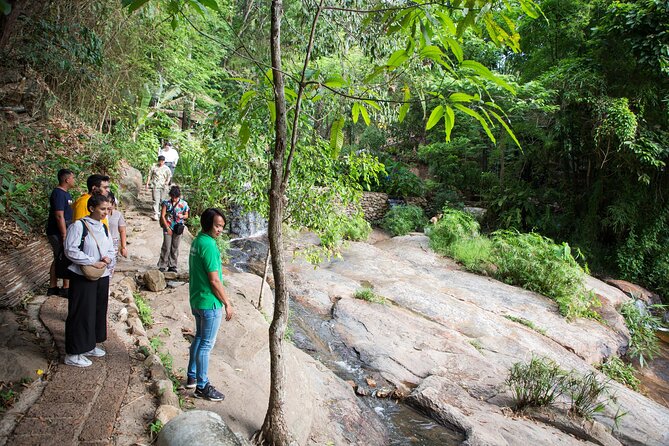 Doi Suthep and Wat Pha Lat Sunrise Private Tour – Half Day - Wat Pha Lat: The Quieter Temple Stop You’ll Feel in Your Body