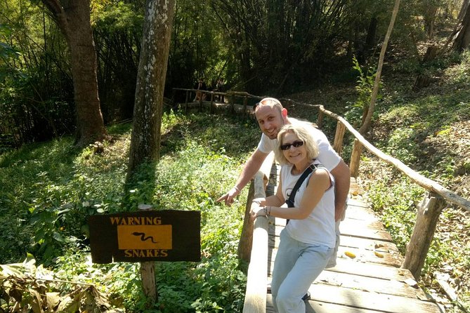 Doi Suthep Temple and Bau Thong Waterfalls Private Tour - Price and value of the $109 private tour