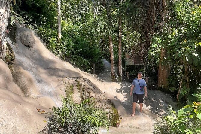 Doi Suthep Temple, Pha Lat Temple, Sticky Waterfall, Orchid farm - Bai Orchid and Butterfly Farm: a colorful break that keeps the day balanced
