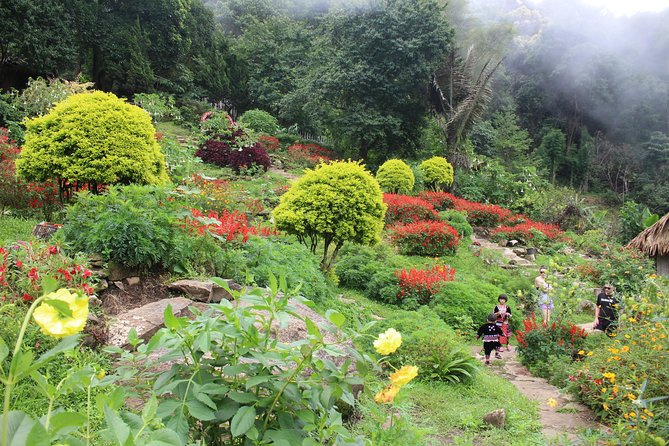 DON'T miss It ! Doi suthep temple+ Hmong village - Price and value: what your $22.75 actually covers