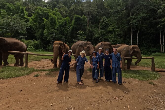 Elephant care program at CHIANGMAI ELEPHANT CARE - Walking time outdoors: what moderate fitness really means