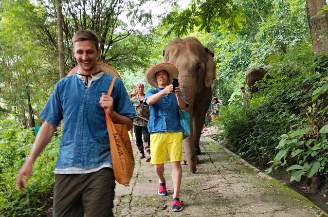Elephant Experience and Hidden Jungle Waterfall Chiang Mai - Thai lunch with a vegetarian option: good value, easy fueling
