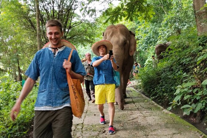 Elephant Experience and Hidden Jungle Waterfall Chiang Mai - Price and value: is $52.15 worth it?