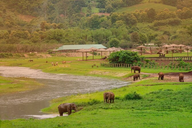 Elephant Sanctuary + Waterfall + Bamboo Rafting One Day Trip - A tight 8–10 hour circuit from Chiang Mai that actually makes sense