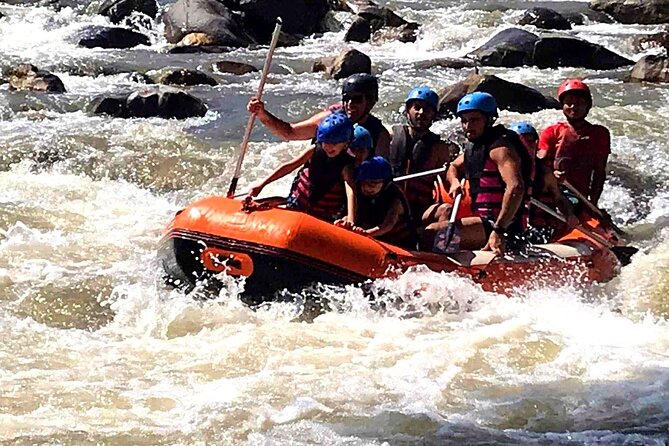 Ethical Elephant Visit and White Water Rafting in Chiang Mai - E-Co Adventure Camp in Kuet Chang: Feeding, Walking, and No Riding