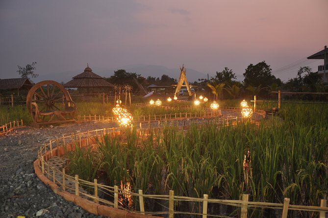Evening Cooking Class in Organic Farm with Local Market Tour - A 3:30 pm Chiang Mai cooking class that ends with dinner you made