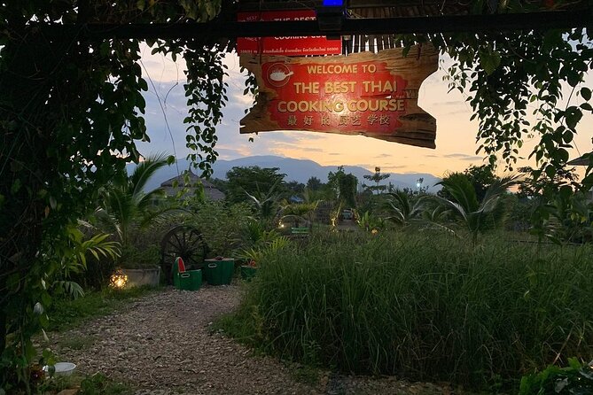 Evening Cooking Class in Organic Farm with Local Market Tour - Who this Chiang Mai cooking class is best for