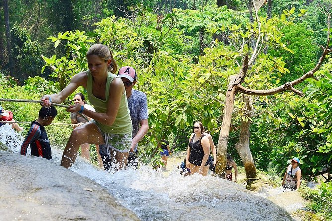 Experience Elephant Sanctuary + Sticky Waterfall - Volunteering With Elephant Food: Napia Grass to Sugarcane