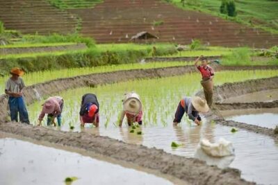 Fantastic! Famous Doi Inthanon National park tour with 2hr trekking - Stop 1: The Highest Spot in Thailand (Doi Inthanon)