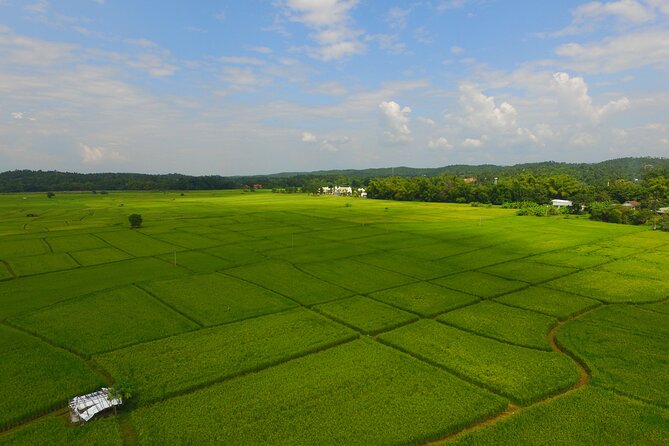 FIELDS OF GOLD Mountain Biking Tour Chiang Mai - Getting out of the city: why this tour feels like more than a ride