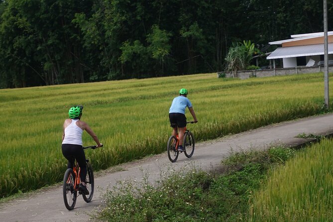 FIELDS OF GOLD Mountain Biking Tour Chiang Mai - 40–57 miles of mostly hard-surface riding: how it likely feels