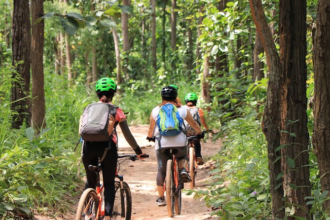FIELDS OF GOLD Mountain Biking Tour Chiang Mai - Small group guide support: why the pace stays sane