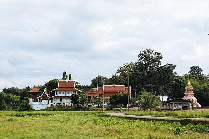FIELDS OF GOLD Mountain Biking Tour Chiang Mai - Price and value: is $66.63 a good deal?