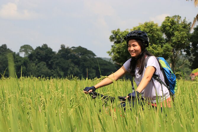 FIELDS OF GOLD Mountain Biking Tour Chiang Mai - The day’s rhythm: Mok Fa Waterfall and a coffee recharge