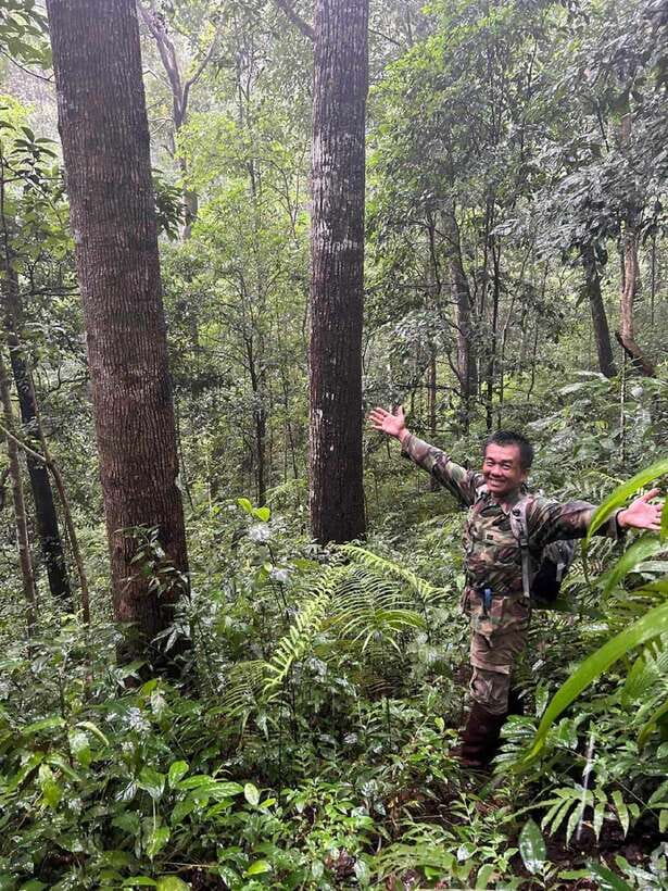 From Chiang Mai: Doi Saket Hiking Tour with Lunch - The 5-Hour Hike: Old Trees, Narrow Paths, and Balance Challenges