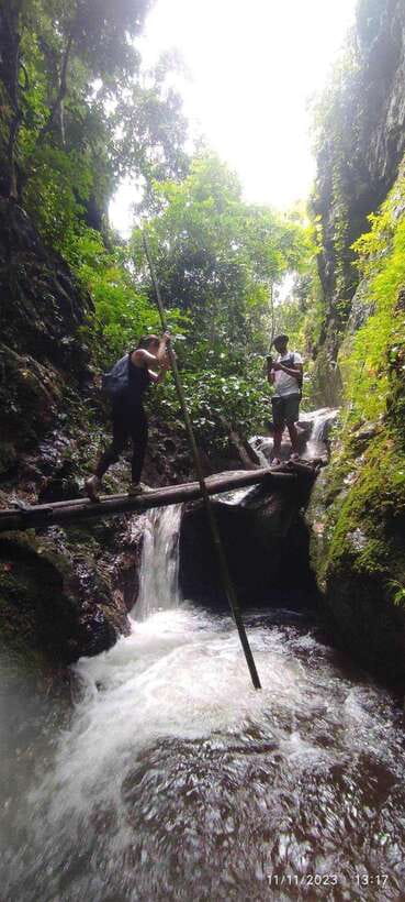 From Chiang Mai: Doi Saket Hiking Tour with Lunch - The Return Route: Fallen-Tree Bridges and Bamboo Groves