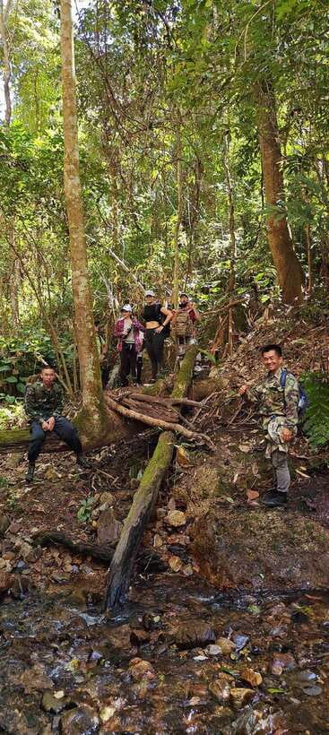 From Chiang Mai: Doi Saket Hiking Tour with Lunch - Who Should Book This Hike (and Who Should Skip It)