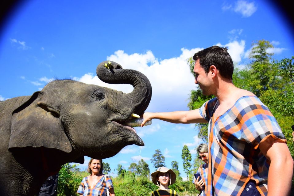 From Chiang Mai: Elephant Care Program and Nursery Tour - Changing into local clothes and preparing elephant food