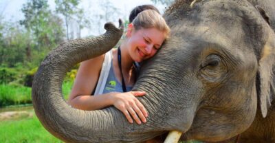 From Chiang Mai: Elephant Care Program and Nursery Tour - Morning pickup and the smooth start from Chiang Mai