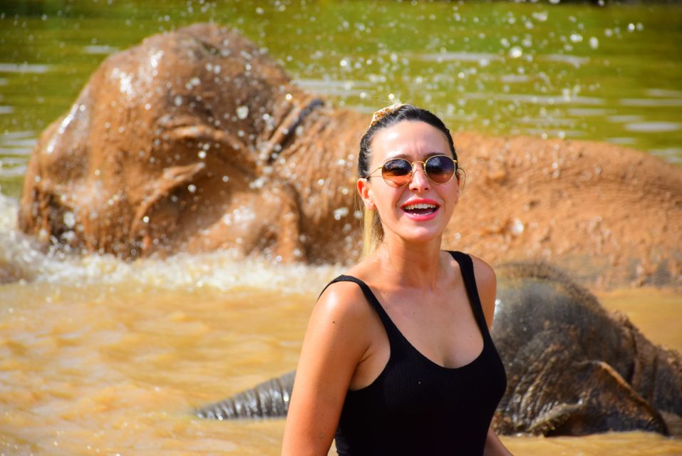 From Chiang Mai: Elephant Care Program and Nursery Tour - Feeding time: seeing how elephants respond