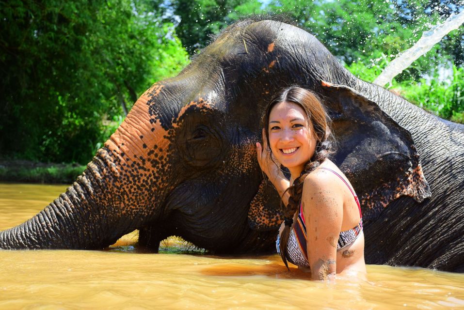From Chiang Mai: Elephant Care Program and Nursery Tour - The mud pool and sand spa: the best part and the wet part
