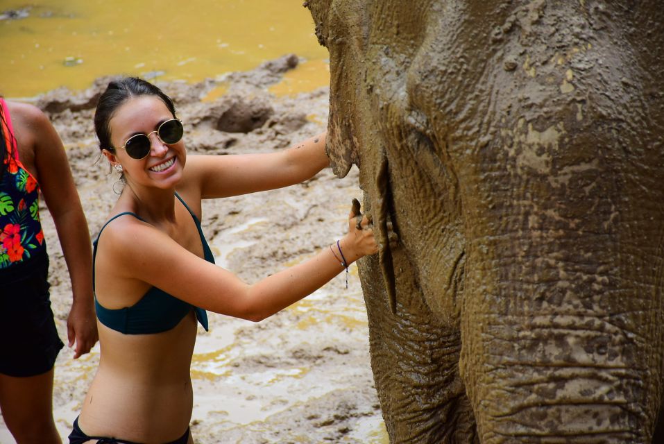 From Chiang Mai: Elephant Care Program and Nursery Tour - Baby elephant time and photos you can plan for