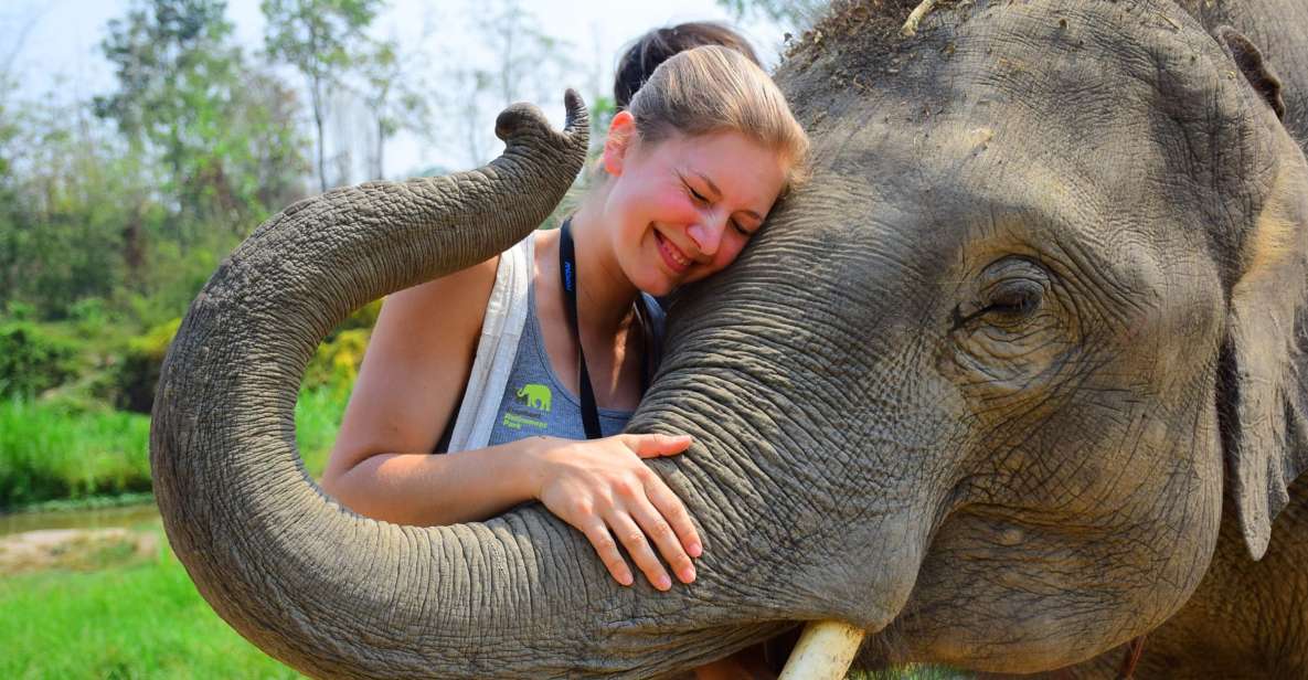 From Chiang Mai: Elephant Care Program and Nursery Tour - Morning pickup and the smooth start from Chiang Mai