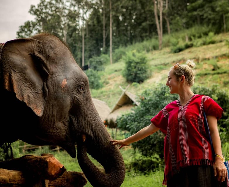From Chiang Mai: Kerchor Eco Elephant Park Tour - Key highlights you’ll feel immediately