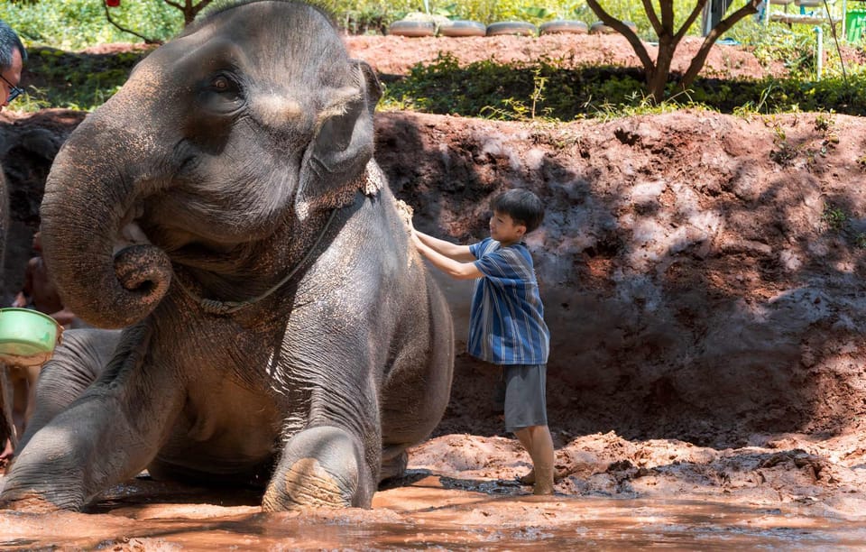 From Chiang Mai: Kerchor Eco Elephant Park Tour - Thai lunch in the park: nice reset, sometimes simple food