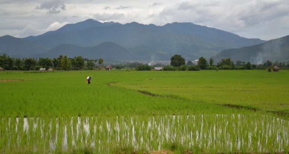 From Chiang Mai: Mae Taeng Valley and Waterfalls Cycle Tour - What to bring (and what not to bring) so you’re not annoyed later
