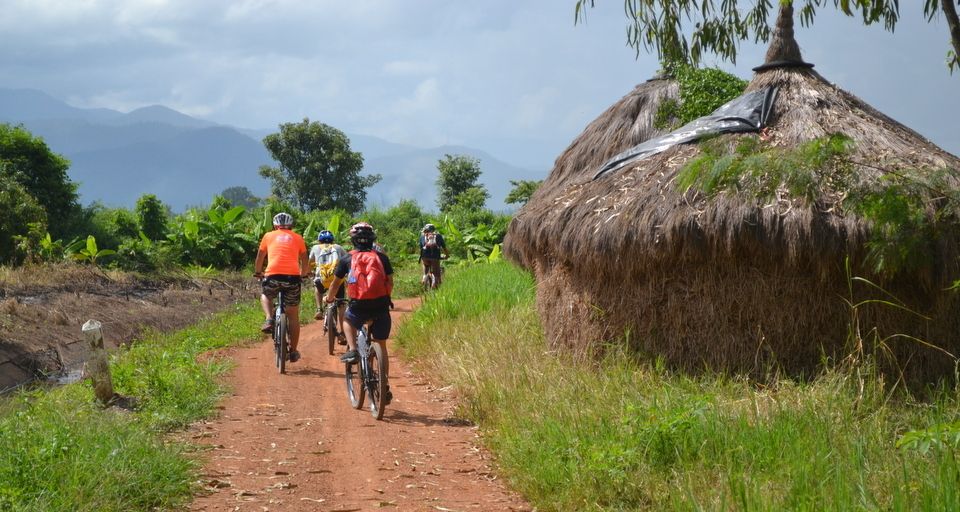 From Chiang Mai: Mae Taeng Valley and Waterfalls Cycle Tour - Bua Thong Sticky Waterfalls: what makes it different, and how to enjoy it