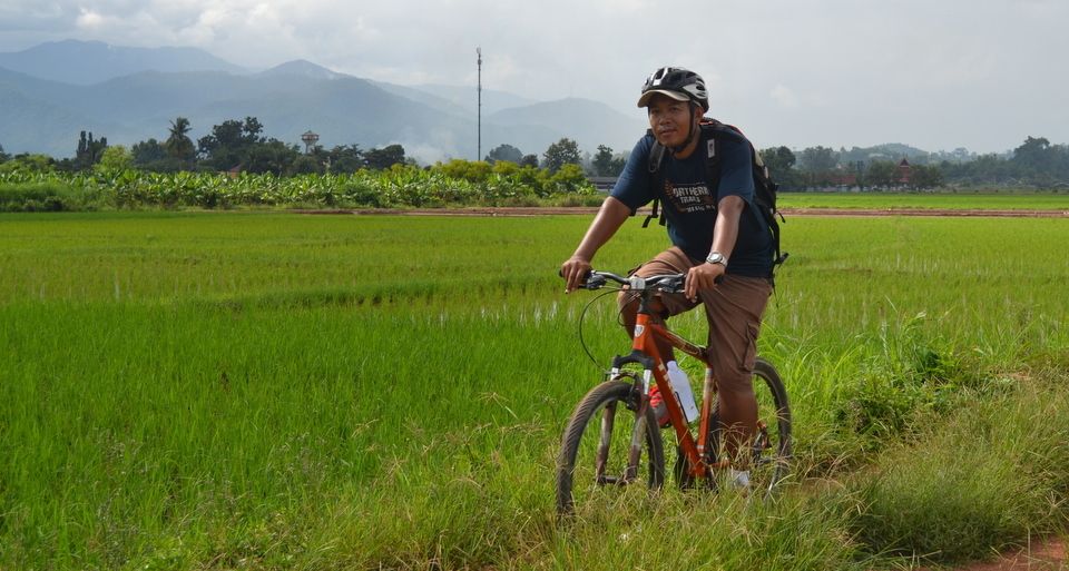 From Chiang Mai: Mae Taeng Valley and Waterfalls Cycle Tour - Price and value: why around $73 can make sense