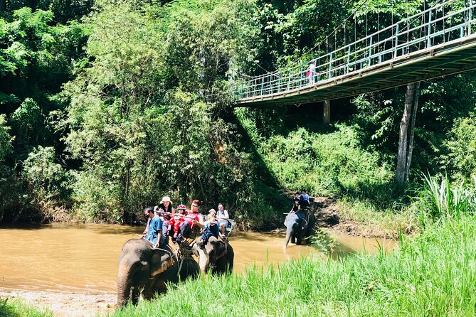 Full Day Car Hire with an English Speaking Driver in Chiang Mai - Doi Inthanon National Park and waterfall time: plan for hikes and weather
