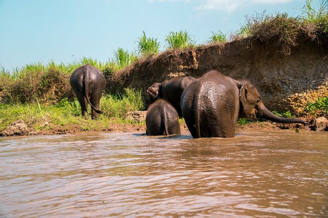 Full Day Chauffeur Driven Tuk Tuk Adventure in Chiang Mai including rafting - Mae Wang District rural stops that feel off the main roads
