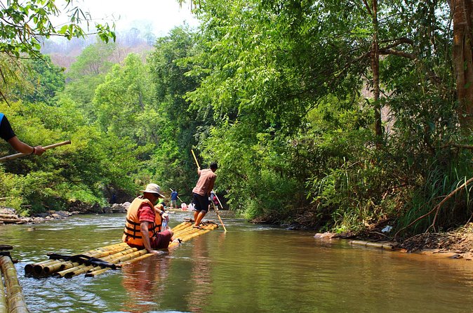 Full Day Chauffeur Driven Tuk Tuk Adventure in Chiang Mai including rafting - Elephants in Chiang Mai: what you’ll actually get from the day