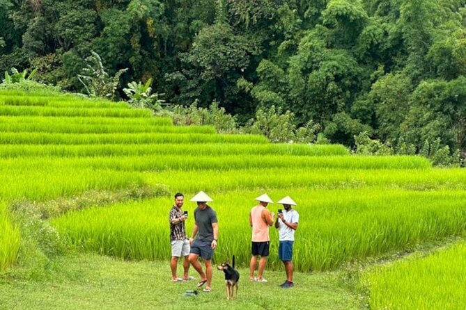 Full-Day Doi Inthanon National Park Tour with Trek and Pagodas - Morning pickup and a long, satisfying day