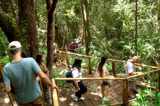 Full-Day Doi Inthanon National Park Tour with Trek and Pagodas - Coffee time at Baan Mae Klang Luang: a small stop with a big payoff