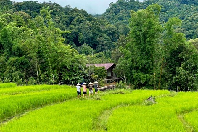 Full-Day Doi Inthanon National Park Tour with Trek and Pagodas - Price and value: why $61.74 can make sense