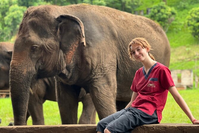 Full Day Experience at Ran-Tong Save & Rescue Elephant Centre - Making Vitamins and Medicine: Hands-On Care Without the Chaos