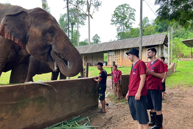 Full Day Experience at Ran-Tong Save & Rescue Elephant Centre - Comfort Checklist: What to Pack for a Bugs-and-Mud Day
