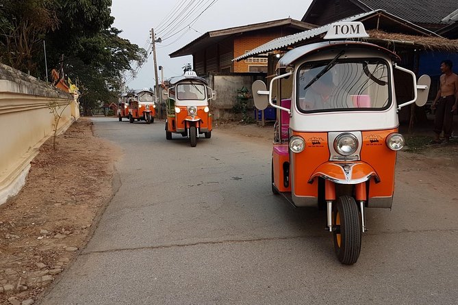 Full-Day Guided Tuk Tuk Chiang Mai Adventure and Rafting - Elephant feeding and bathing, with the clear rule: no riding