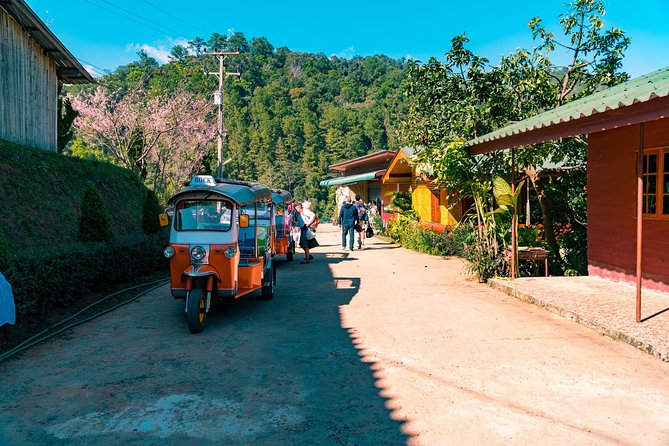 Full-Day Guided Tuk Tuk Chiang Mai Adventure and Rafting - Small group size and the guide effect (Bigg, Nam, OA)