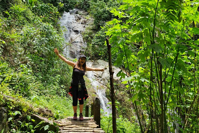 Full-Day Trekking and Sightseeing Tour in Mae Kampong - A seldom-walked rainforest trail: ancient trees and stream sounds