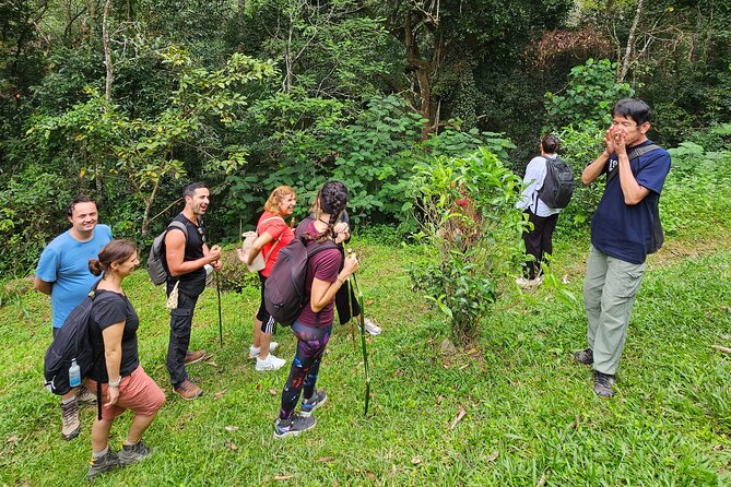 Full-Day Trekking and Sightseeing Tour in Mae Kampong - Price breakdown: what you’re paying for beyond the sticker number
