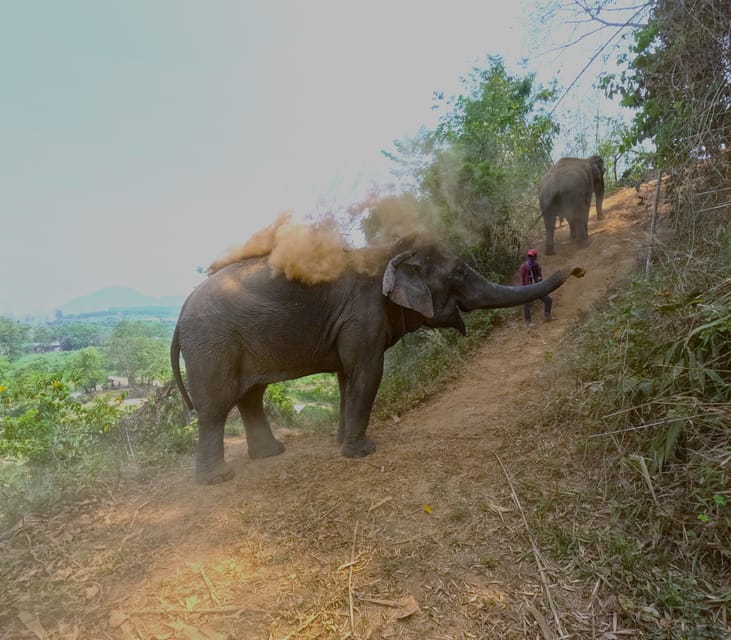 Full-day with CHIANGMAI ELEPHANT CARE and Sticky waterfall - From Pickup at 8am to the Maetang Area: How the Day Flows