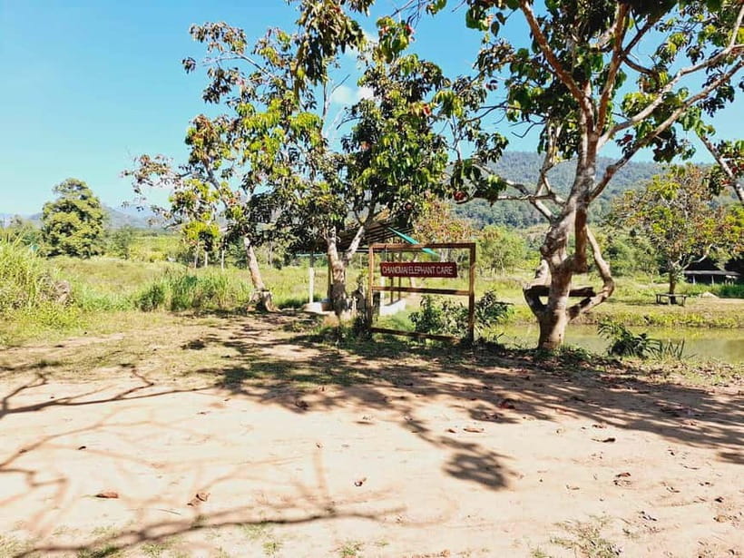 Full-day with CHIANGMAI ELEPHANT CARE and Sticky waterfall - Lunch at the Camp: More Than a Snack Break