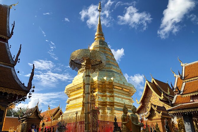 Half Day Doi Suthep Temple and Palad Temple (Private tour) - Wat Pha Lat (Padad Temple): Forest Paths, Waterfall Mood, and Cave Statues