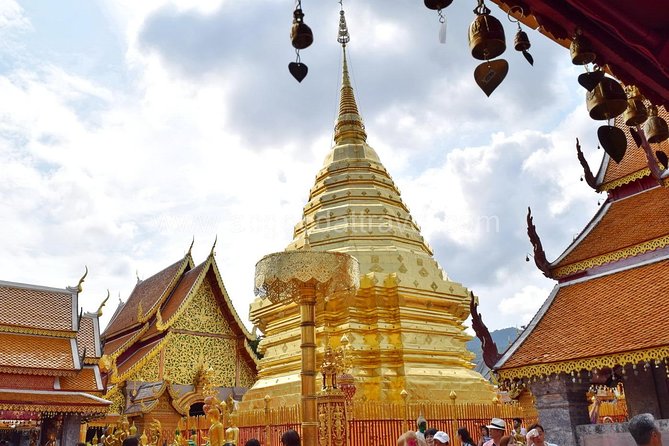 Half Day Doi Suthep Temple and Palad Temple (Private tour) - What the Tour Includes (and Why It’s Good Value at $76.26)