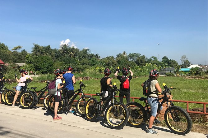 Half-day E-bike Countryside and rice paddies (flat land, GUIDED) - E-bikes plus a real guide: staying relaxed while you see more