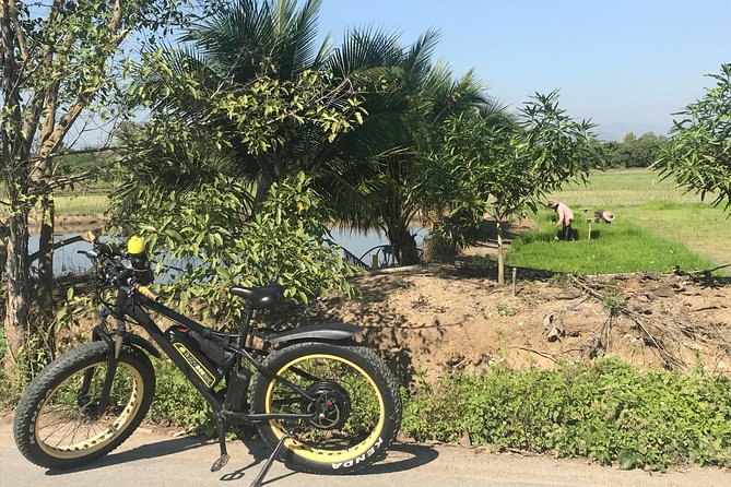 Half-day E-bike Countryside and rice paddies (flat land, GUIDED) - Food, water, and why it’s more than a checkbox